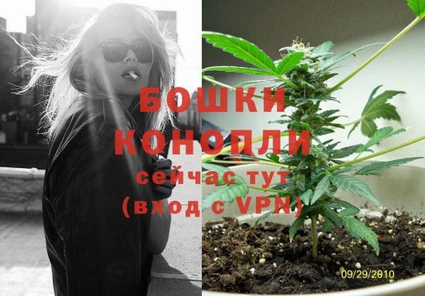 стафф Нефтегорск
