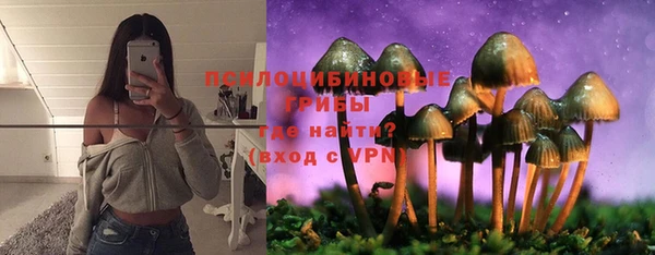 mix Нея